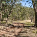 210 Goombungee-Mount Darry Road, KILBIRNIE, QLD 4354